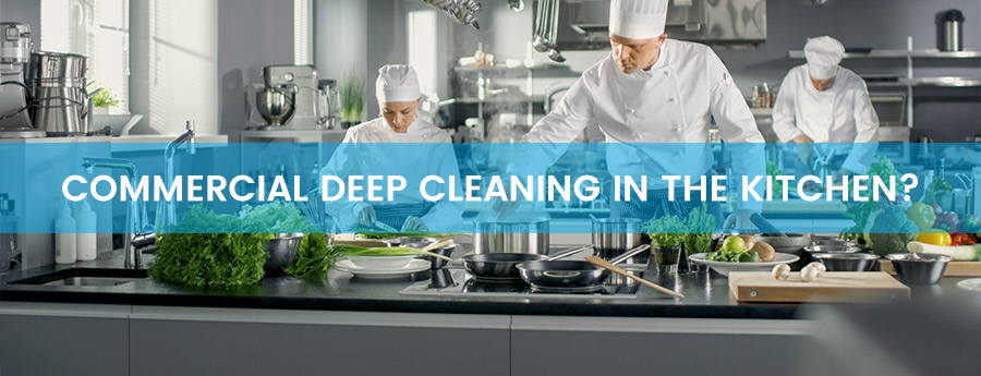 Kitchen cleaning specialists - Ecowize