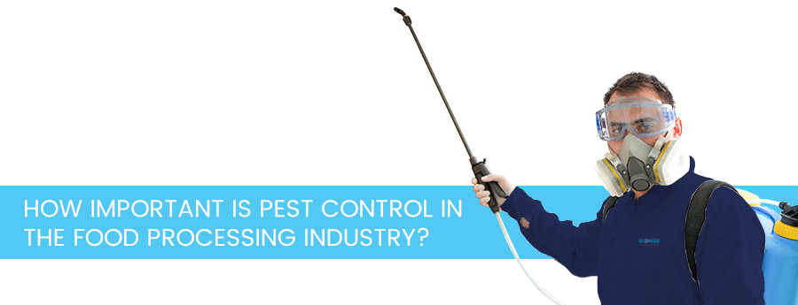 Pest control - Ecowize