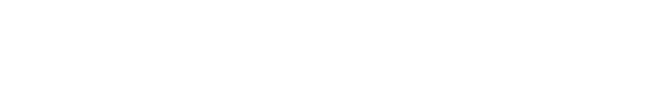Executrain SA logo